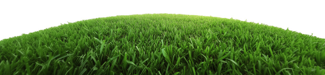 Obraz premium Lush green grass hill under clear sky, representing natural beauty and tranquility.