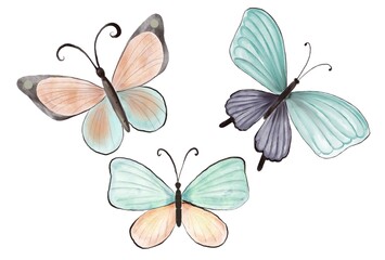 Butterflies on white background. For designs postcards, poster, patterns. Summer or spring mood.
