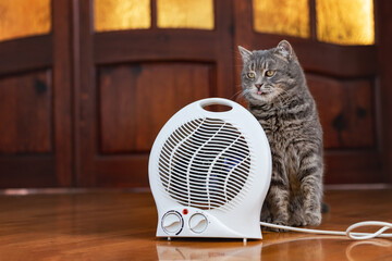 Gray cat warming up next to white electric portable fan heater, heater on the floor in the room. Portable electric fan heater. Pets.