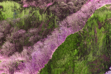Infrared style, a rocky hillside densely covered in vibrant purple and lime-green vegetation