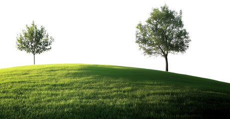 Obraz premium Two trees on a serene hill, bathed in soft sunlight, capturing the essence of tranquility and nature.