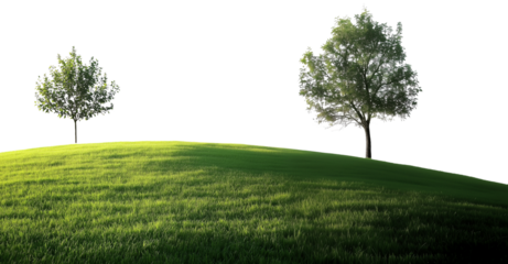 Two trees on a serene hill, bathed in soft sunlight, capturing the essence of tranquility and nature.