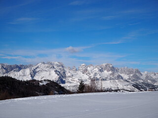 Snow-capped mountains against the backdrop of a forest.