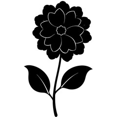 black and white flower