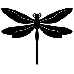 dragonfly on white background