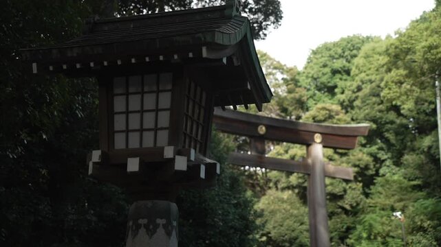 View of entrance torii gate to the Meiji Jingu Shinto Shrine, Yoyogikamizonocho, Shibuya City, Tokyo, Honshu, Japan