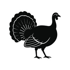 vector illustration of a  turky silhouette