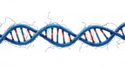 Colorful DNA helix