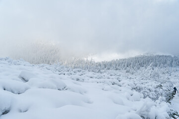 Droga na Babią Górę zimą