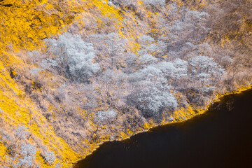 Infrared style, a landscape with a steep bank leading to a dark body of water