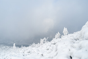 Droga na Babią Górę zimą