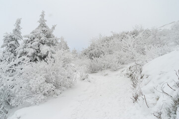 Droga na Babią Górę zimą