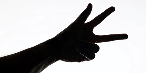 Fototapeta premium Hand Silhouette Gesture Sign, White Background Stock Photo