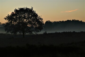 sunrise on the moors