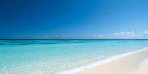 Fototapeta premium tropical beach with white sand beach