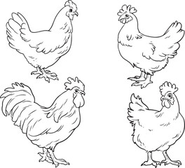 Hand-drawn vector illustration of chickens, roosters, hens, chicks, eggs, and farm elements. Perfect for farm-related designs, organic food branding, coloring books, and educational materials.