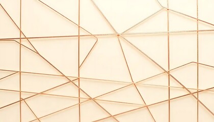 Obraz premium Rose Gold Geometric Lines Abstract Art Design