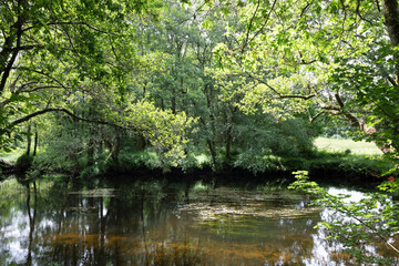 The Parga River as it passes through Guitiriz. Riverside forest. Atlantic forest. Forest in Galicia. Path, pedestrian path.