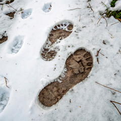 footprint in the sand