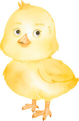 watercolor chick