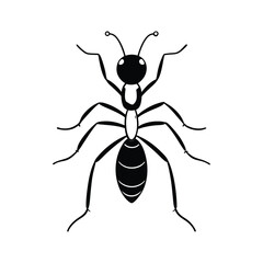 Ant Insect line art vector illustration