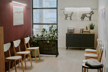 Veterinary office waiting room with plants and modern furniture creating calm environment. Posters...