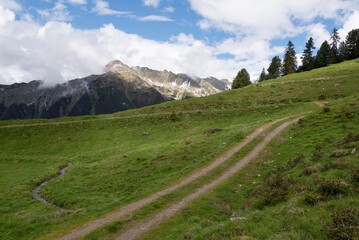 Winding Alpine Path with Majestic Mountain Views in Zillertal, Tirol, Austria