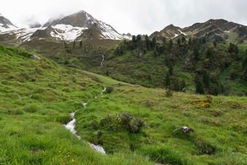 Alpine Stream Flowing Through Green Meadows with Snow-Capped Mountains in Zillertal, Tirol, Austria