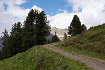 Scenic Alpine Trail Through Lush Green Hills with Mountain Views in Zillertal, Tirol, Austria