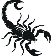 scorpion isolated on white background