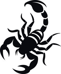 scorpion silhouette graphic vector illustration