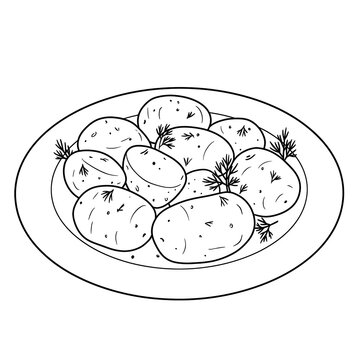 recommend clip art: boiled potatoes with dill sketch 