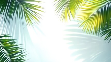 Realistic shadow of palm leaves on bright surface. Tropical palm leaf silhouette for layering. Coconut foliage cut-out element for seasonal design aspects