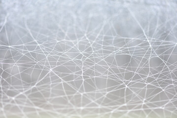 蜘蛛の巣の背景　ぼかし　抽象的