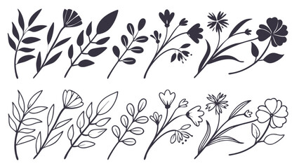 Wild Flower Silhouette Vector, lower Silhouette Vector, Leaf Elements Vector, Black and White Flowers