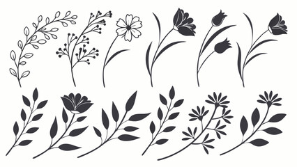 Wild Flower Silhouette Vector, lower Silhouette Vector, Leaf Elements Vector, Black and White Flowers