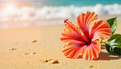 Hibiscus flower on sandy beach, Spring break theme 