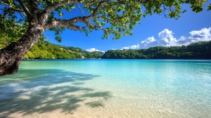 Fototapeta premium Tranquil Tropical Beach Scene