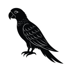 parrot illustration silhouette