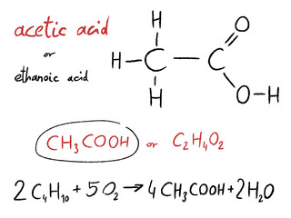Acetic acid (ethanoic acid) - organic chemistry lesson. Transparent PNG graphic.