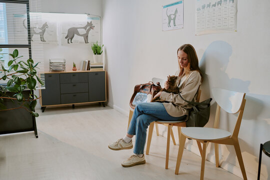 Woman sitting in a well-lit veterinary waiting room holding a pet cat. Contemporary interior design with plants and pet-themed artwork adorning walls
