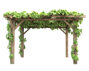 wooden garden pergola covered with lush green vines, providing shade and natural aesthetic. This structure enhances outdoor spaces, creating serene atmosphere