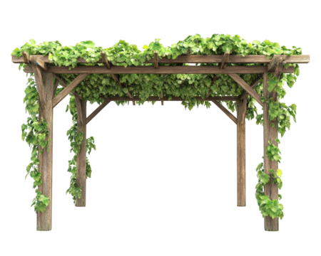 wooden garden pergola covered with lush green vines, providing shade and natural aesthetic. This structure enhances outdoor spaces, creating serene atmosphere