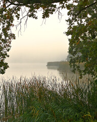 Mglisty poranek nad Stawami Milickimi. © Adam