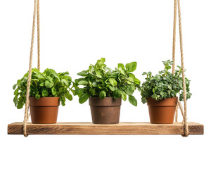 Hanging garden shelf with three small potted plants, showcasing vibrant greenery and natural decor. Perfect for adding touch of nature to any space