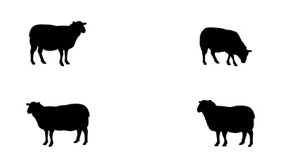 Sheep silhouette set in black and white