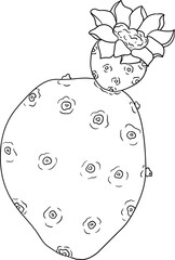 Hand drawn, line, coloring pages vector Opuntia fruit, prickly pear cactus, Indian figs, Edible cactus	