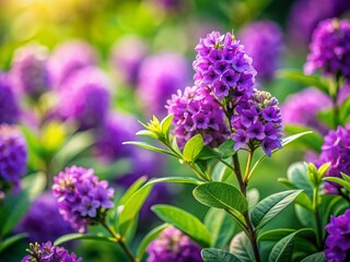 Fototapeta premium Miniature Purple Flowers Close Up, Vibrant Green Foliage, Tilt-Shift Photography