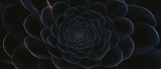 Fototapeta premium Concentric circular petal patterns with floral design on a black background for artistic overlay