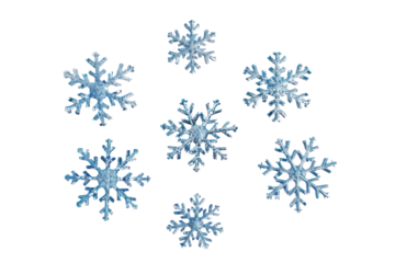 Delicate blue snowflakes scattered on a smooth white surface, capturing the essence of winter’s chill and beauty in a serene arrangement isolated on transparent background